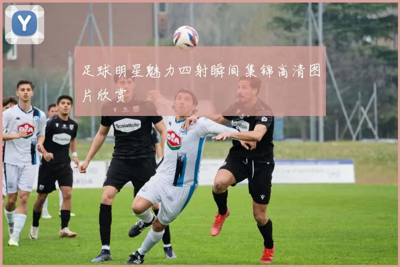 足球明星魅力四射瞬间集锦高清图片欣赏
