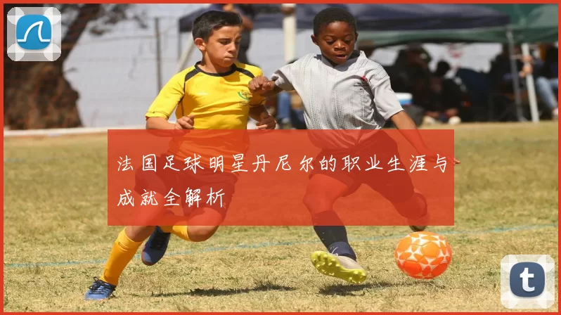 法国足球明星丹尼尔的职业生涯与成就全解析