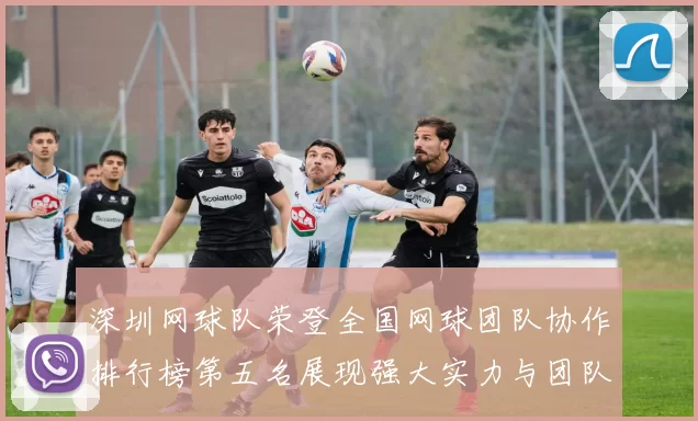 深圳网球队荣登全国网球团队协作排行榜第五名展现强大实力与团队精神