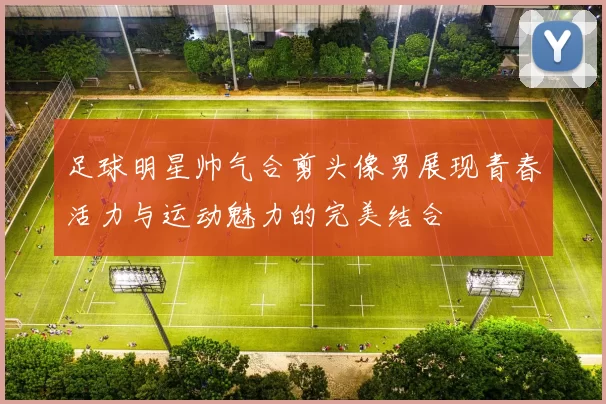 足球明星帅气合剪头像男展现青春活力与运动魅力的完美结合