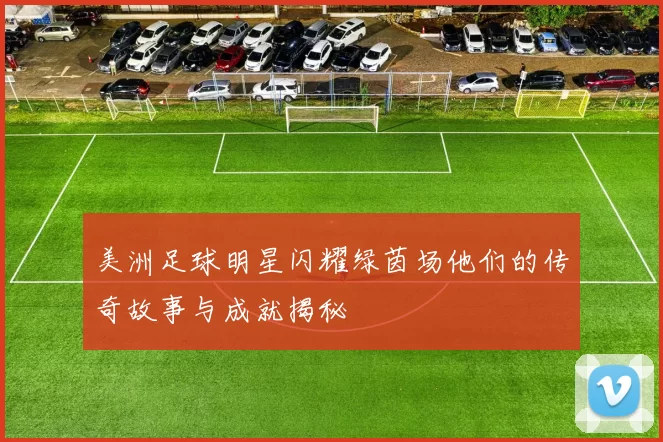 美洲足球明星闪耀绿茵场他们的传奇故事与成就揭秘