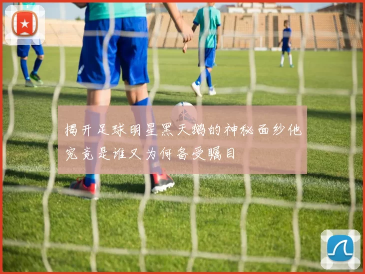 揭开足球明星黑天鹅的神秘面纱他究竟是谁又为何备受瞩目
