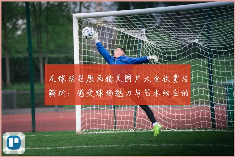 足球明星原画精美图片大全欣赏与解析，感受球场魅力与艺术结合的完美呈现