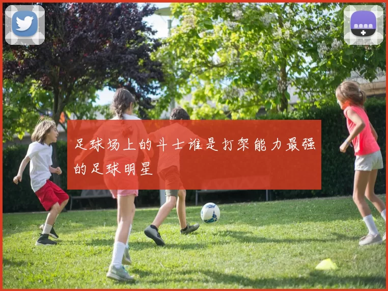 足球场上的斗士谁是打架能力最强的足球明星