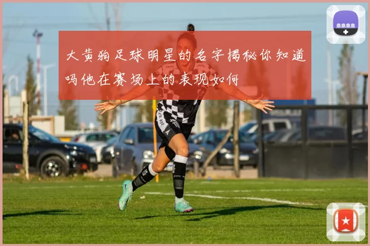 大黄狗足球明星的名字揭秘你知道吗他在赛场上的表现如何