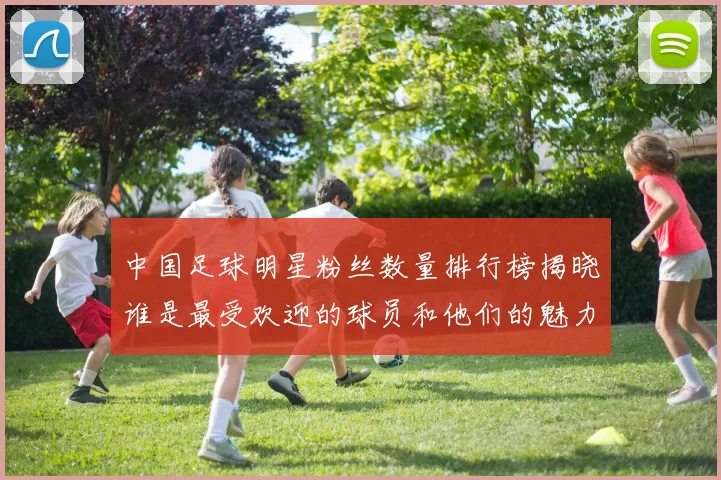 中国足球明星粉丝数量排行榜揭晓谁是最受欢迎的球员和他们的魅力所在