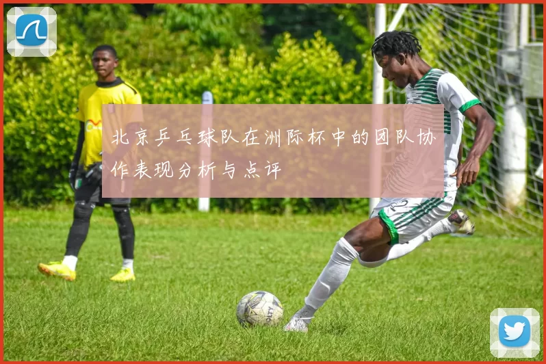 北京乒乓球队在洲际杯中的团队协作表现分析与点评
