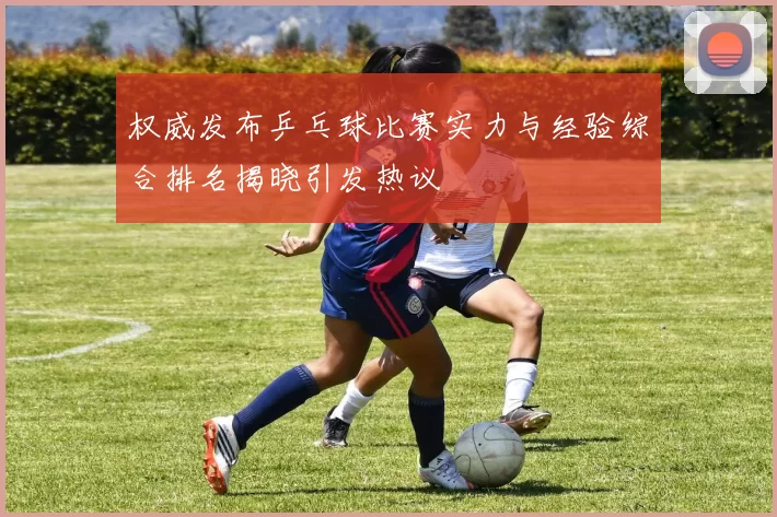 权威发布乒乓球比赛实力与经验综合排名揭晓引发热议