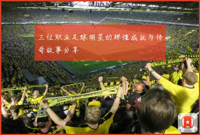 三位职业足球明星的辉煌成就与传奇故事分享